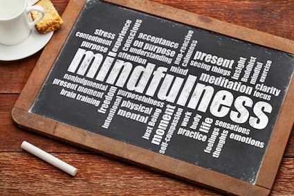 A Multi-site Study of Mindfulness Training for Therapists