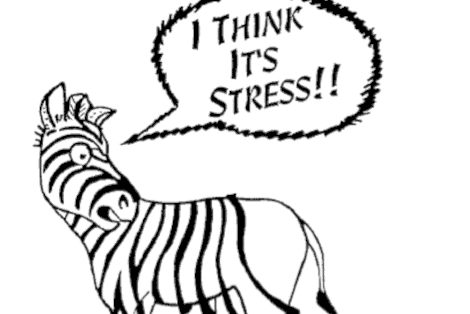 Distress, Therapist Burnout, Self-Care, and the Promotion of Wellness for Psychotherapists and Trainees