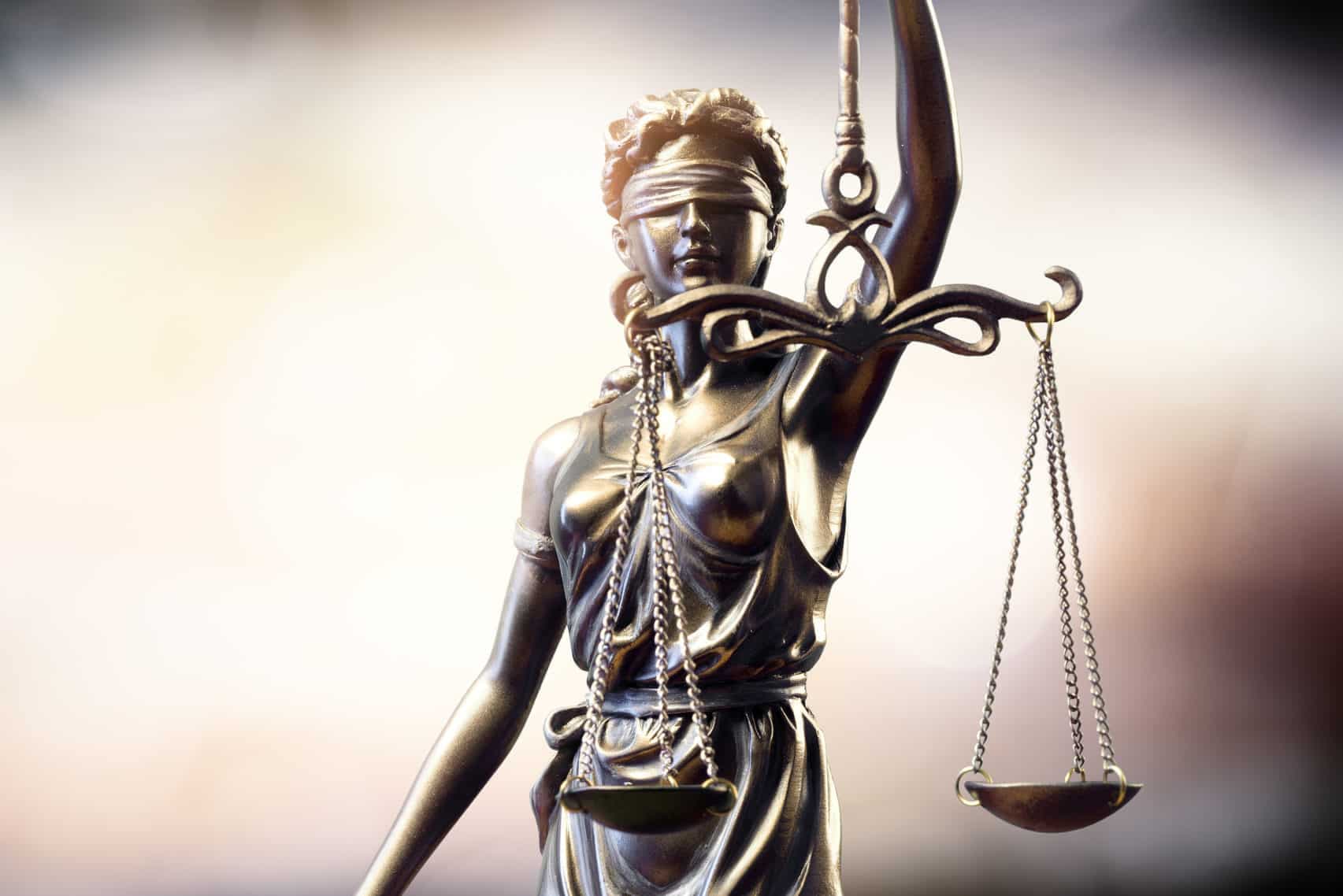 Social Justice, Advocacy, and Early Career Practice